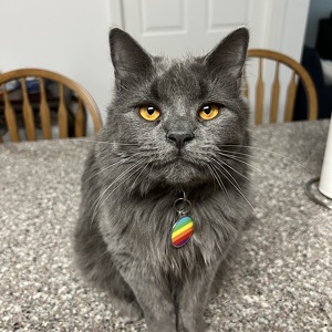 Fundraising Page: Alyssa Crowe